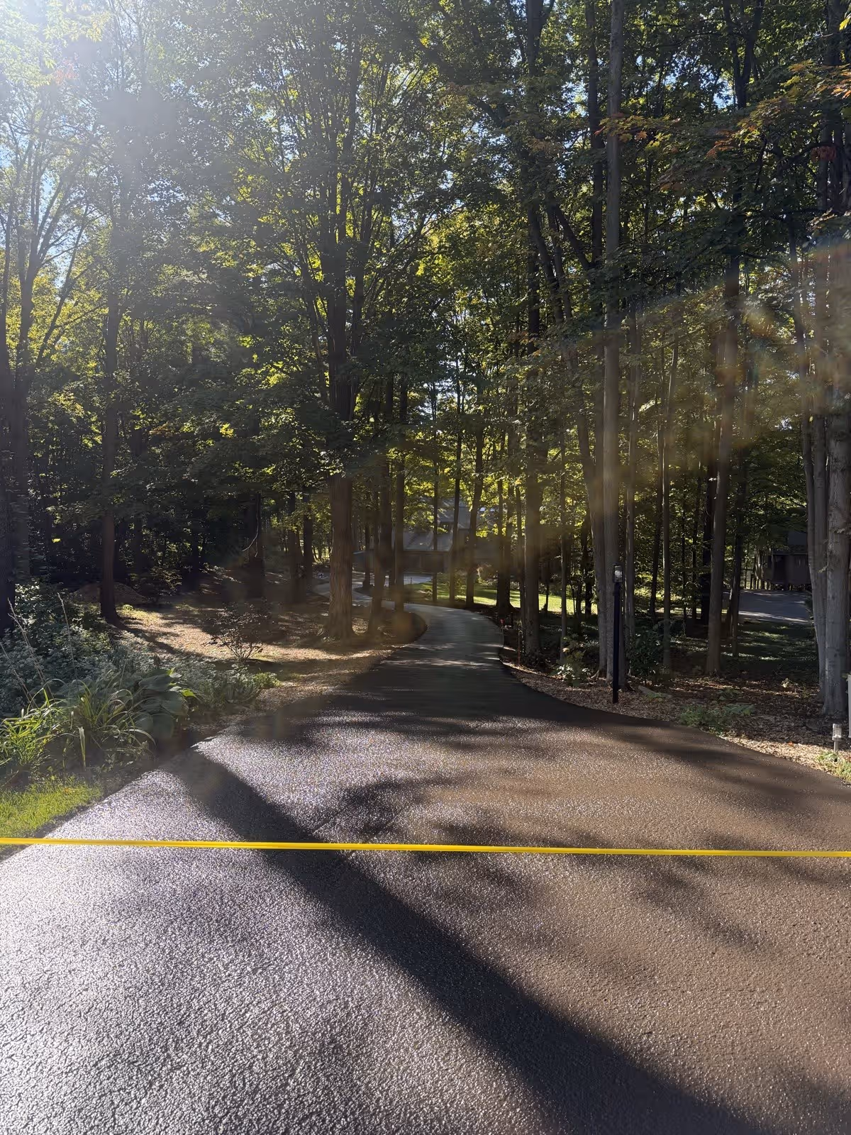 A Pro Pave driveway sealed deep and black, winding through a sun-dappled forest